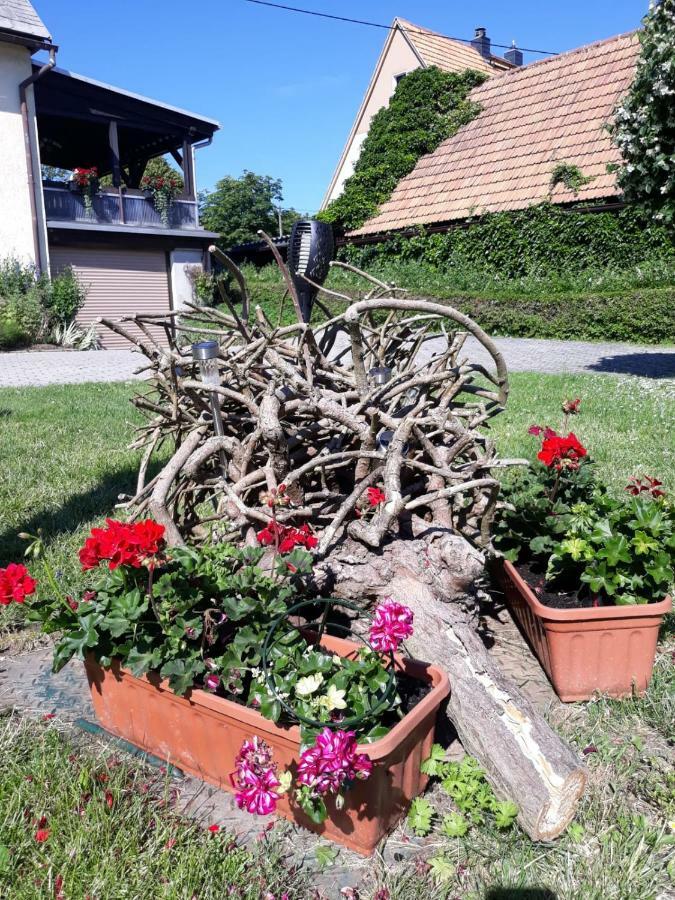 Fewo Hoyer Apartment Hinterhermsdorf Luaran gambar